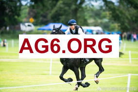 英超第24轮布莱顿vs埃弗顿全场比赛录像回放2026年2月1日